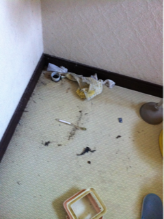 image-20111017112058.png