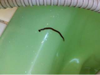 image-20111024155003.png
